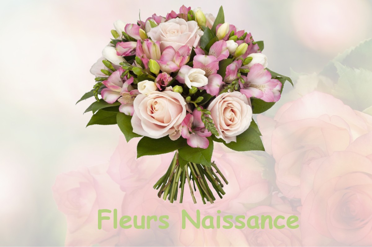 fleurs naissance VILLARS-SANTENOGE